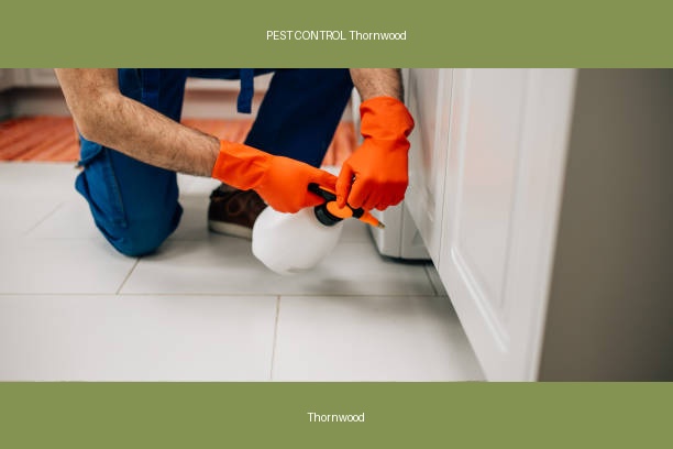 PEST CONTROL Thornwood